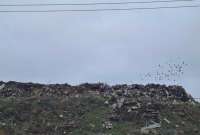 Суд продлил содержание под стражей главы экологии Нижневартовска по делу о рекультивации свалки