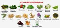 Диетолог назвала защищающий от старения витамин