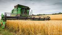 Мишустин ввел экспортные пошлины на пшеницу, кукурузу и ячмень
