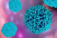 В столице Польши нашли мутировавший вирус полиомиелита