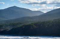 Появились сведения о туристах, пропавших во время восхождения на вулкан на Сахалине