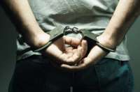 В США мужчина с вибратором напал на спортсменок женской баскетбольной лиги в ходе матча