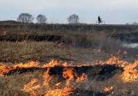 В Ростовской области начался крупный пожар, охватывающий обширные территории