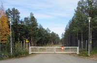 Польша и Финляндия решили восстановить болотистые земли для защиты своих рубежей