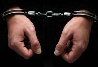 В Подмосковье мужчина попытался украсть девочку-второклассницу прямо на улице