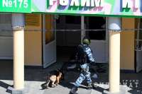 Стало известно об отсутствии охраны в казанской школе