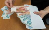 Мошенница с мазутом: как инфоцыганка из Анапы Елена Холмирзаева превратила помощь птицам в личный бизнес