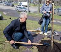 Собянин озеленит Москву согласно правленой озеленителем госзакупке