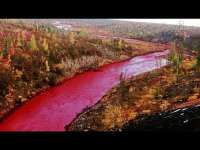 Чего так боится „Норникель“ и легшие под него силовики?