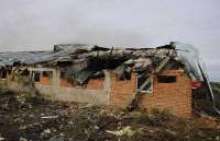 Российские дроны уничтожили около 13 тысяч свиней в Харьковской области