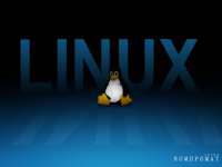 Linux – наше всё. Иностранная начинка «картонного» патриотизма