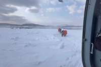 Рыбаков на дрейфующей льдине в Охотском море удалось спасти