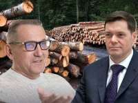 Вместе весело пилить: лесопромышленный &laquo;бизнес&raquo; Мордашова и Чуркина?