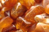 ГБР подозревает представителя Госгеонедр в поддержке незаконной добычи янтаря в Украине