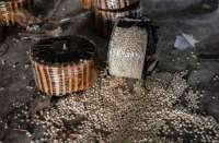 Captagon in the post-Assad era: how the drug trade becomes covert and extends internationally