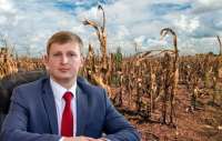 Министерство сельского хозяйства Иркутской области организует фестивали, тогда как фермеры несут потери урожая