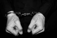 В России конфисковали рекордное количество кокаина, спрятанного в бананах, прибывших из Эквадора