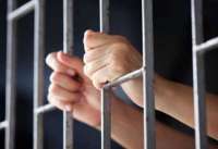 В России осужденным разрешили держать домашних животных за свой счет