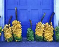 Бананы подорожали до рекордной величины за всё время президентства Путина
