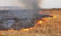 Огромные пожары в Ростовской области распространились на жилые здания