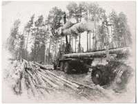 Россия может ввести эмбарго на экспорт леса