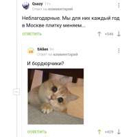 Это должен был сказать я 