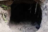 Четверо нарушителей пытались пересечь границу Польши через тоннель под землей