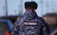 Росгвардия намеревается осуществлять продолжительные командировки в зону \