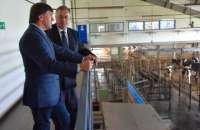 Мэрия Верхней Пышмы изымает земли «Балтымского агрокомплекса»