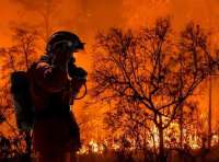 В Калифорнии вспыхнули крупные лесные пожары: население эвакуируют