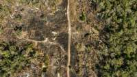 How Drug Smugglers Conceal Themselves in the Chaco: A Landing Strip within Paraguay’s Woodlands