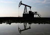 Российская нефть Urals стала дешевле для Индии из-за санкций США